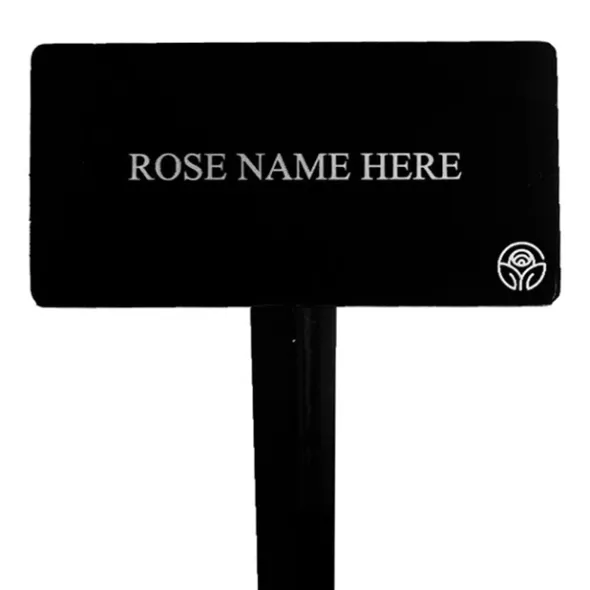 Heirloom Roses Country Dancer Stake Hot