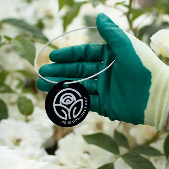 Heirloom Roses Crystalline™ Tag Clearance