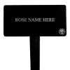 Heirloom Roses Doris Day® Stake Best