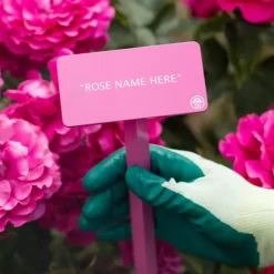 Heirloom Roses Drop Dead Red™ Stake Clearance