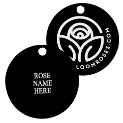 Heirloom Roses Easy Going™ Tag Best