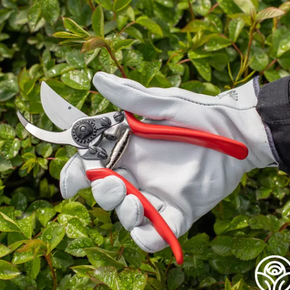 Heirloom Roses Felco 11 Improved Classic Pruning Shear Online