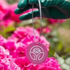 Heirloom Roses Fragrant Hour Tag New