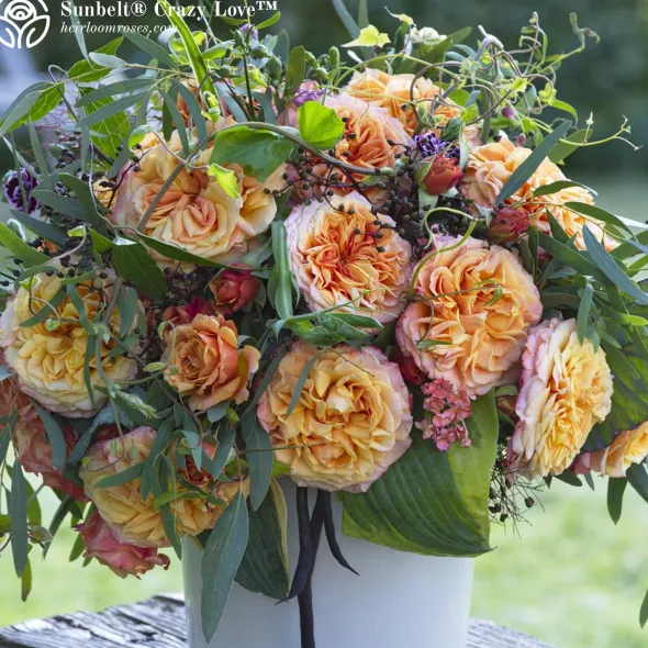 Heirloom Roses Vibrant Bouquet Collection Sale