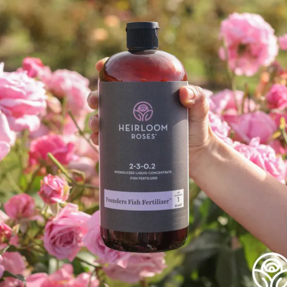 Heirloom Roses Year Supply of Founder's Fish Fertilizer™ Discount